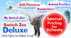 Switch Zoo Deluxe - Click here to check it out
