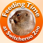 Feeding Time at Switch Zoo