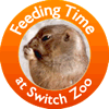 Feeding Time at Switch Zoo