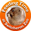 Feeding Time at Switcheroo Zoo