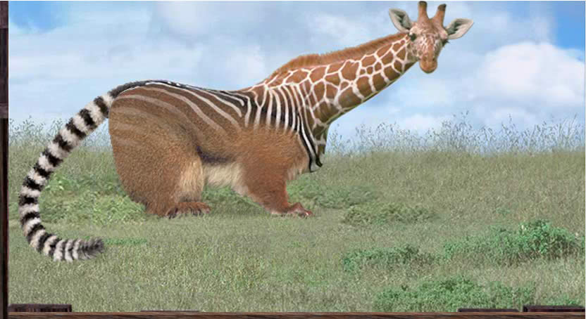 a zebra with a giraffe's head, ground squirrel legs and ring-tailed lemur tail stands in a field