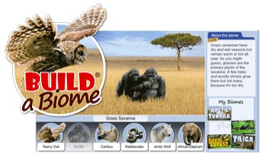 a scene from Build a Biome, two gorillas sitting in grassland