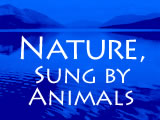 Nature, Sung by Animals over a blue lake