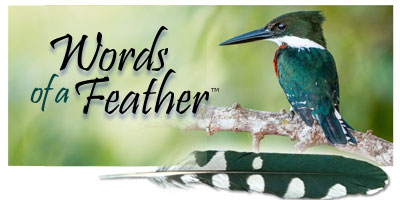 Words of a Feather with Kingfisher and spotted feather