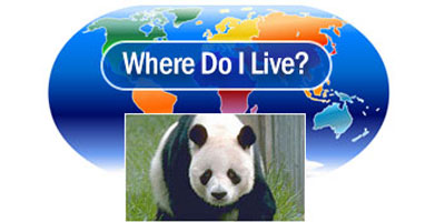 Where Do I Live? with panda and world map