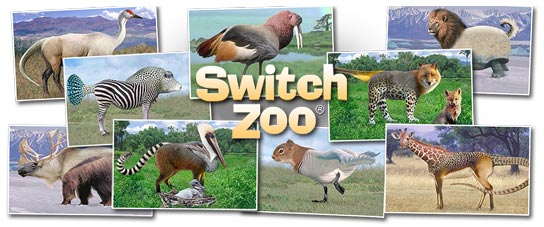Switch Zoo pictures of some switcheroos