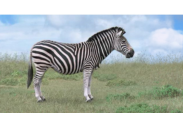 Switch Zoo Zebra Habitat